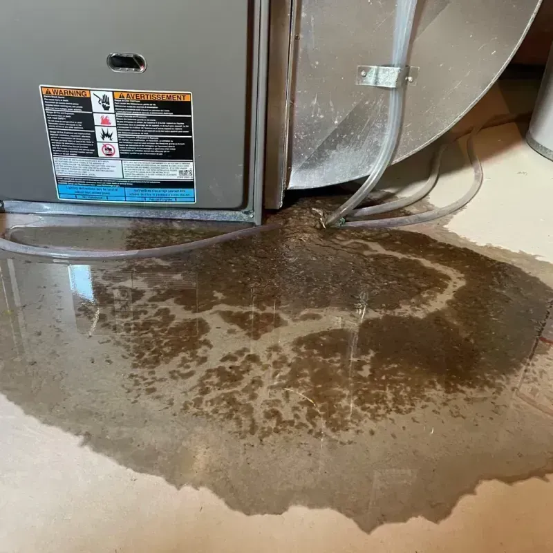 Appliance Leak Cleanup in Colorado City, CO